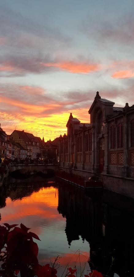 New ! Vue Petite Venise, Place To Be - Parking Colmar Dış mekan fotoğraf