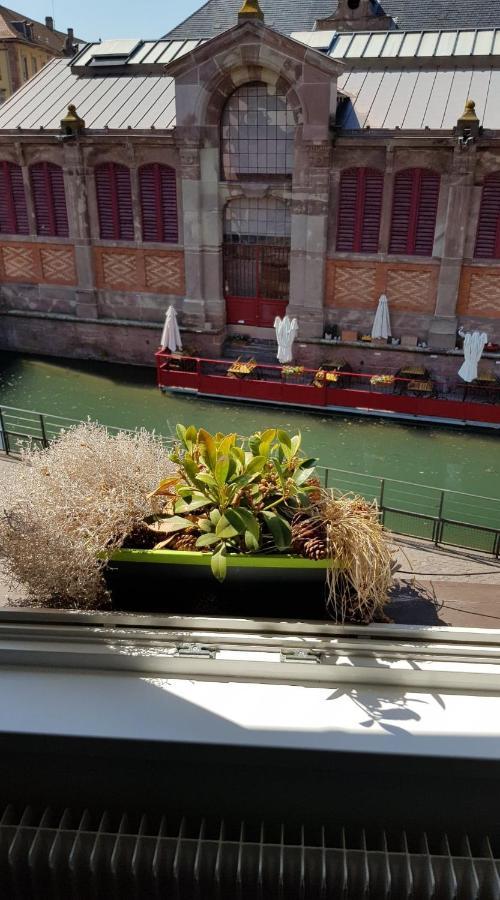New ! Vue Petite Venise, Place To Be - Parking Colmar Dış mekan fotoğraf