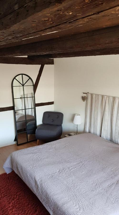 New ! Vue Petite Venise, Place To Be - Parking Colmar Dış mekan fotoğraf